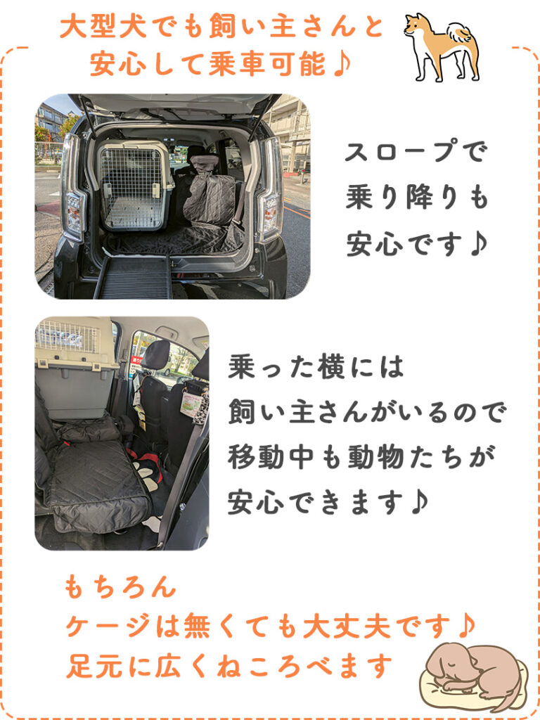 大型犬でも飼い主さんと安心して乗車可能